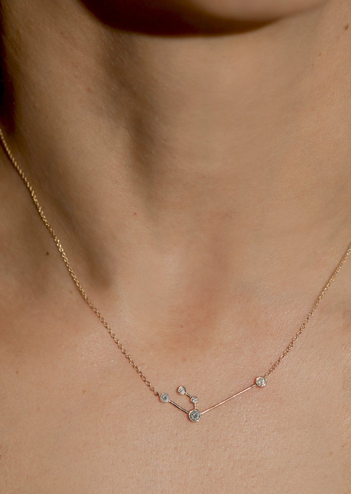 Aquarius Zodiac Necklace