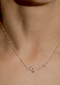 Aquarius Zodiac Necklace