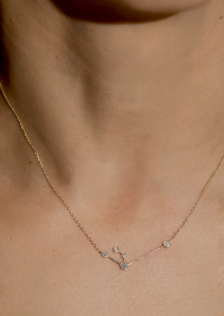 Aquarius Zodiac Necklace