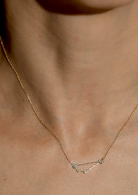 Capricorn Zodiac Necklace