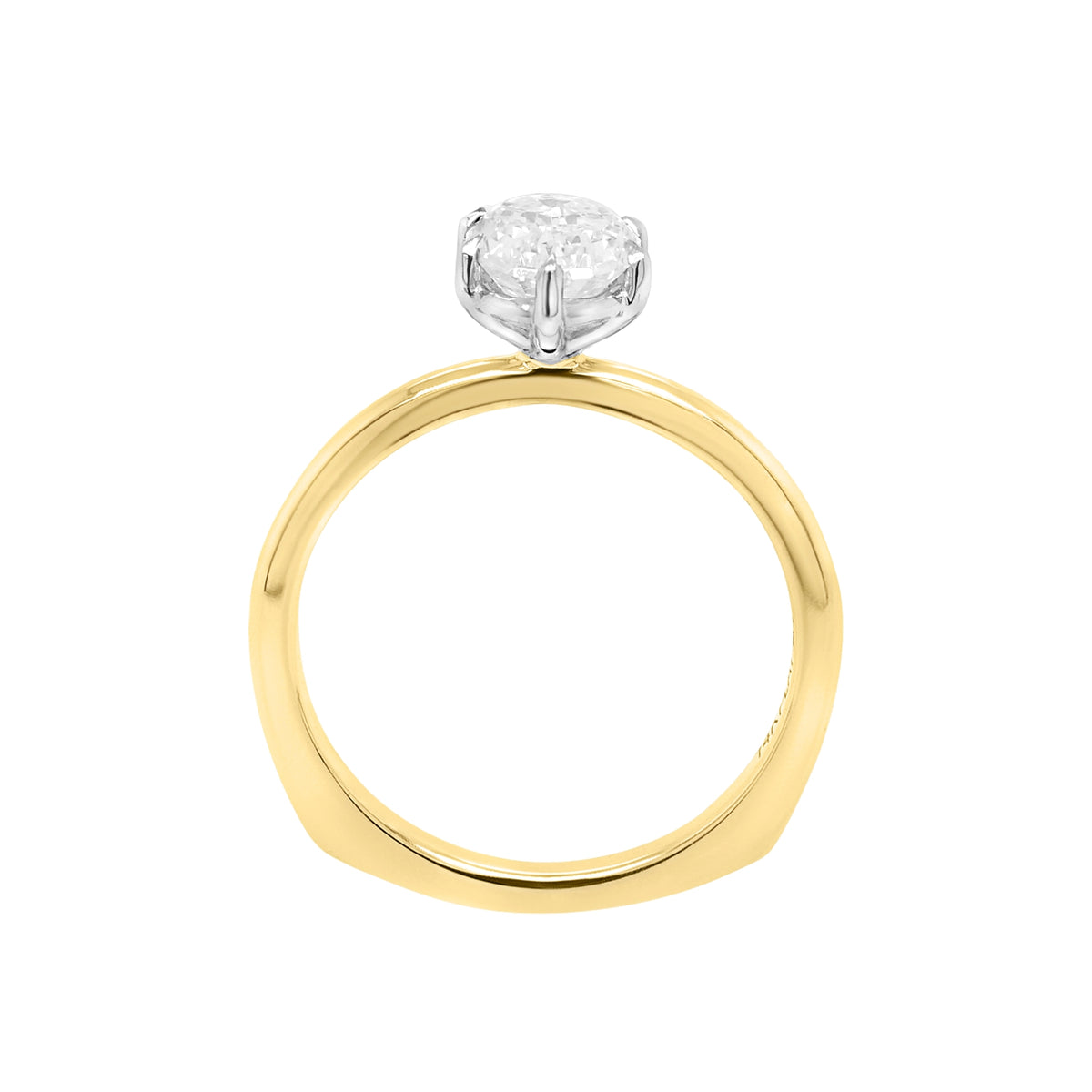The D'Arcy Ring