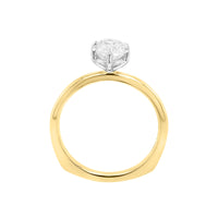 The D'Arcy Ring