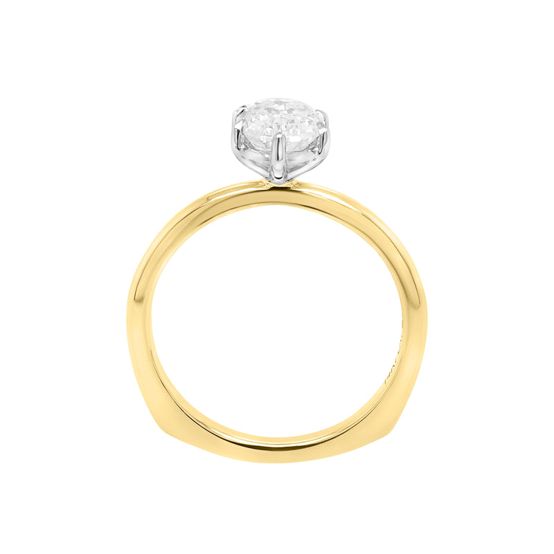 The D'Arcy Ring