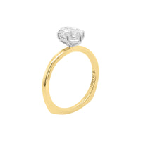 The D'Arcy Ring