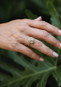 Sunburst Ring - Diamond