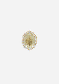 Amoeba Ring