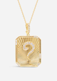 Curio Medallion Charm