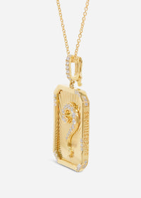 Curio Medallion Charm