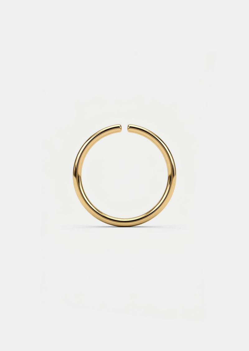 Seamless Gold Hoop