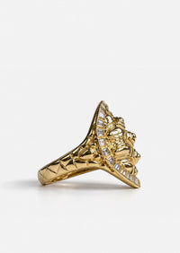 Tortoise Time Ring