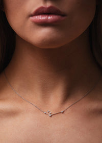 Aquarius Zodiac Necklace