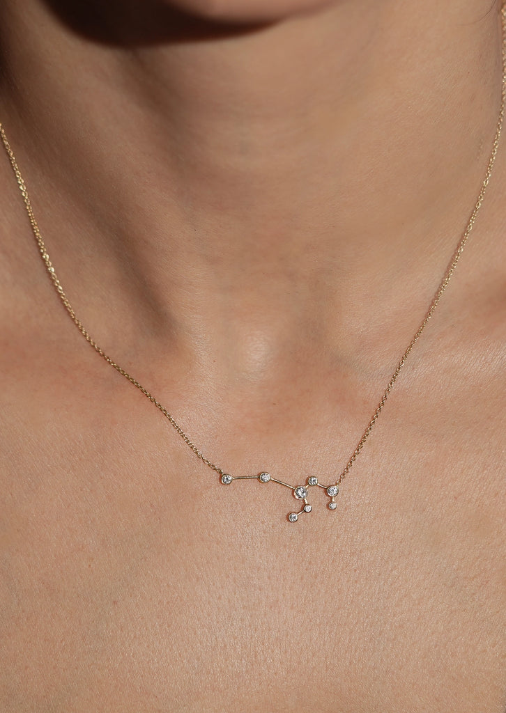 Leo Zodiac Necklace