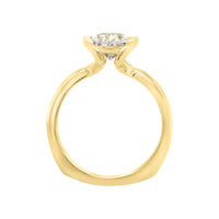The Laurens Ring